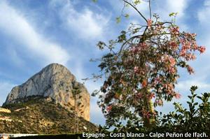 030- Calpe - Port